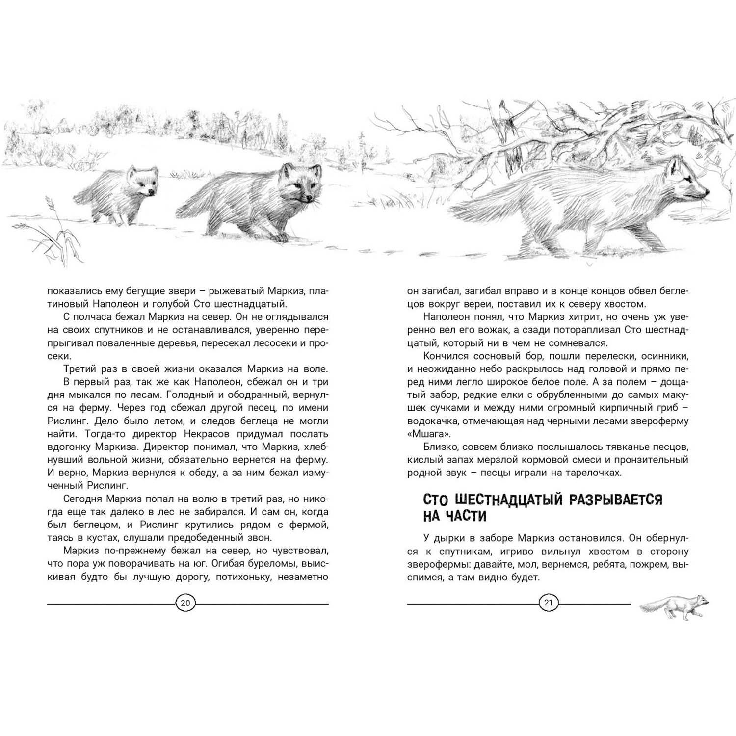 Книга ЭНАС-книга Недопёсок - фото 3