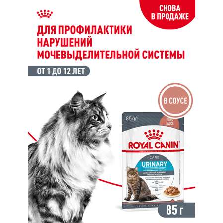 Корм для кошек ROYAL CANIN Urinary Care для поддержания здоровья мочевыделительной системы 85г