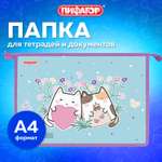 Папка для тетрадей Пифагор А4