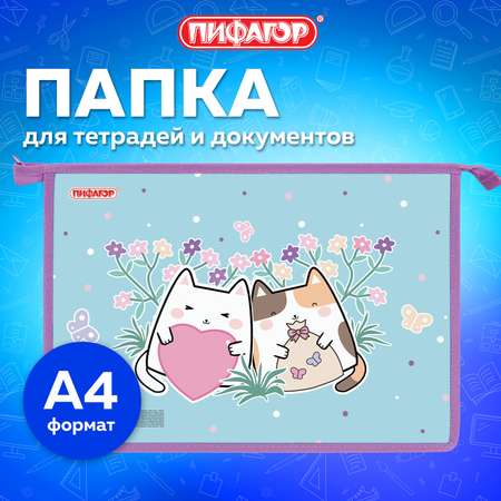 Папка для тетрадей Пифагор А4