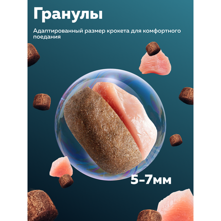 Корм сухой Зоогурман Holistic, Индейка с Грушей и Розмарином 1,5 кг