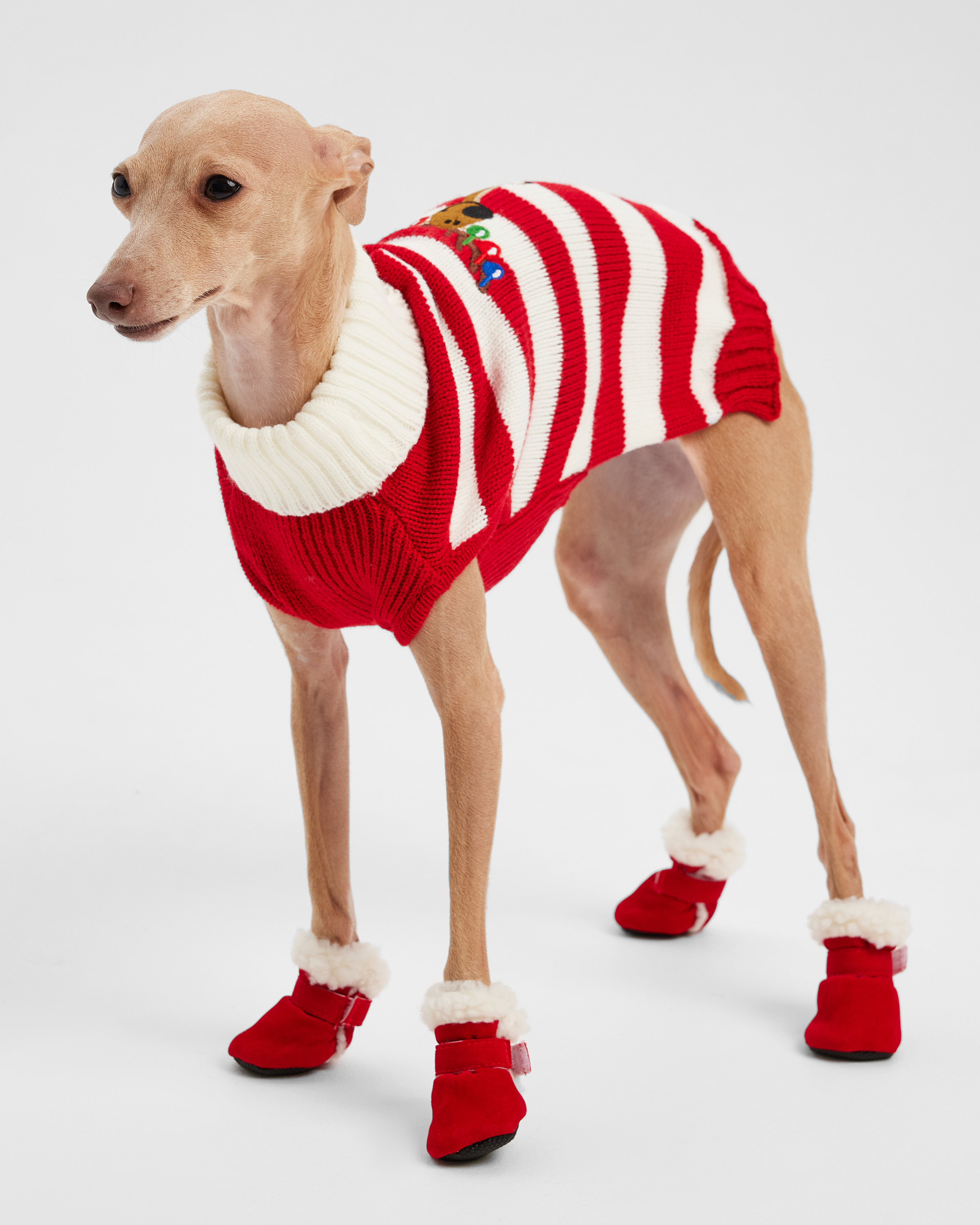 Ботинки для собак Зоозавр 4 шт - фото 2