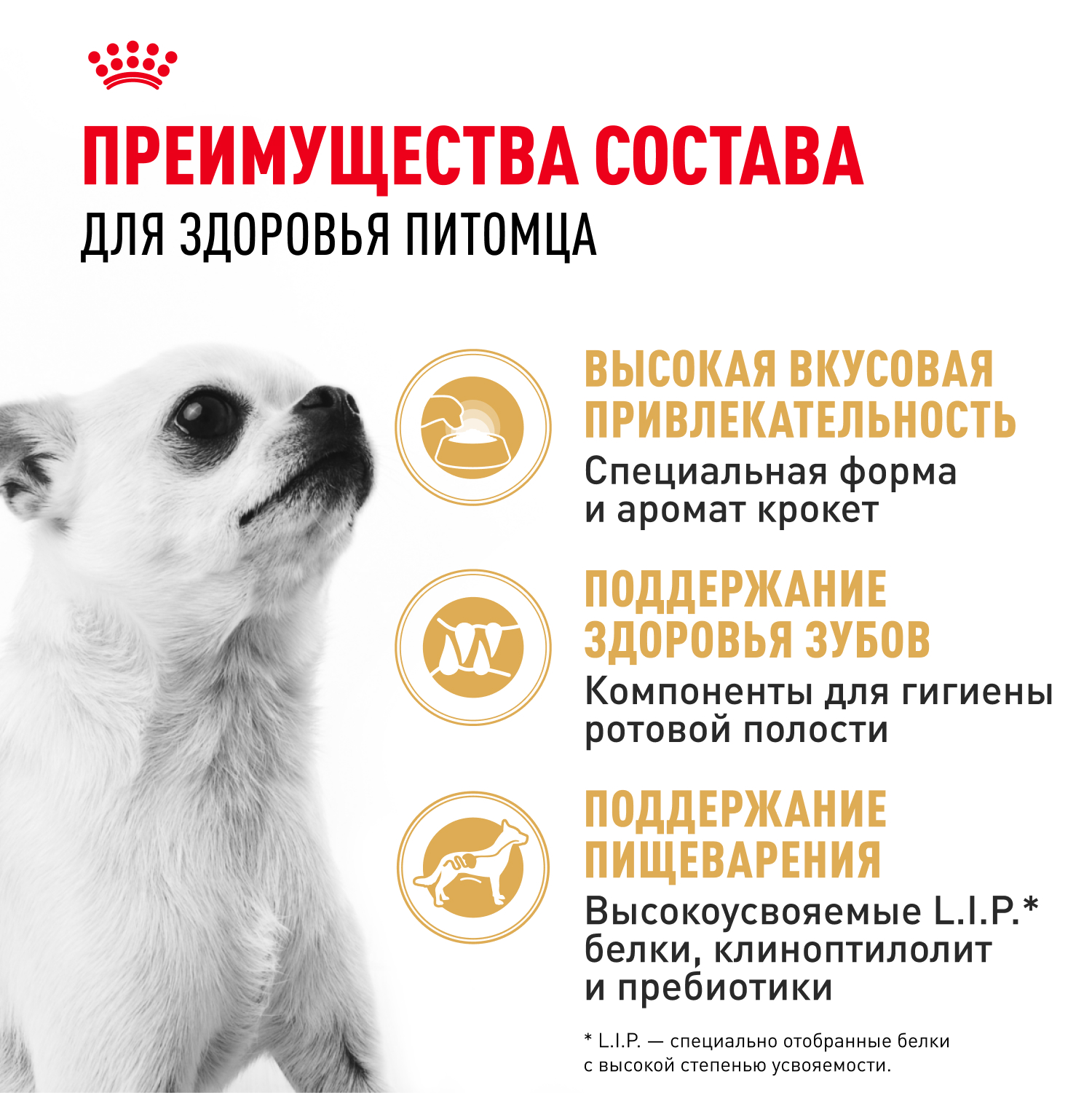 Корм для собак ROYAL CANIN породы чихуахуа 500г - фото 4