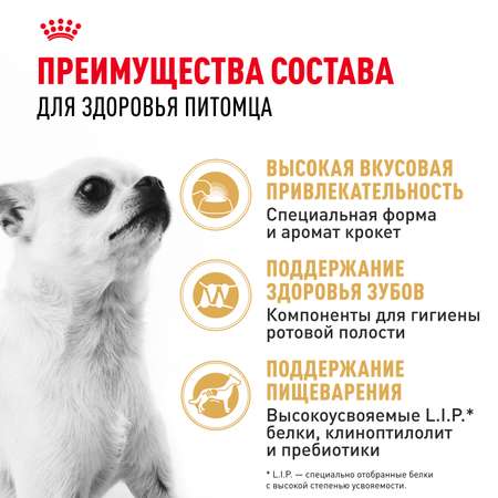 Корм для собак ROYAL CANIN породы чихуахуа 500г
