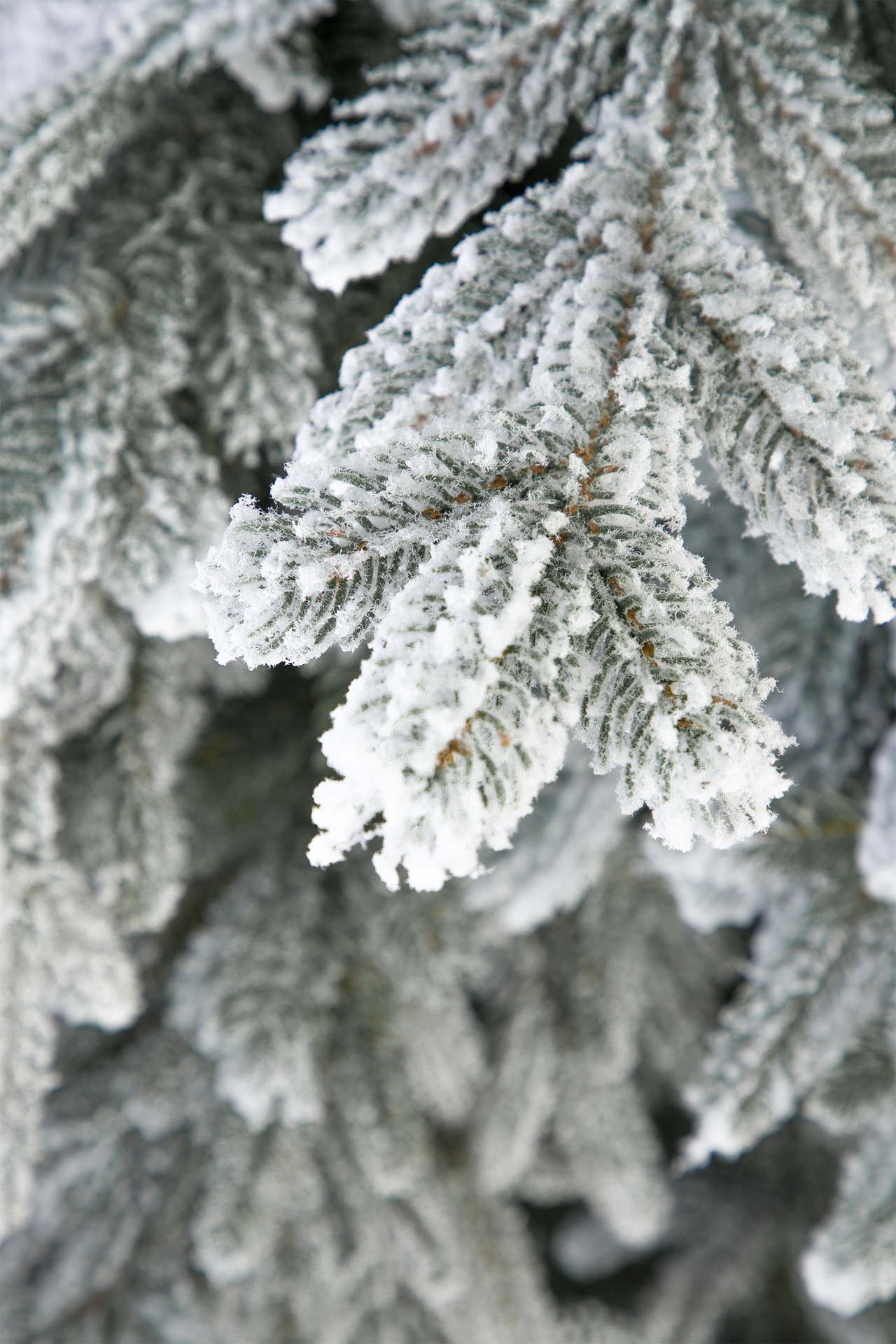 Ель Монарх заснеженная литая Империя Ёлок 200 см - фото 3