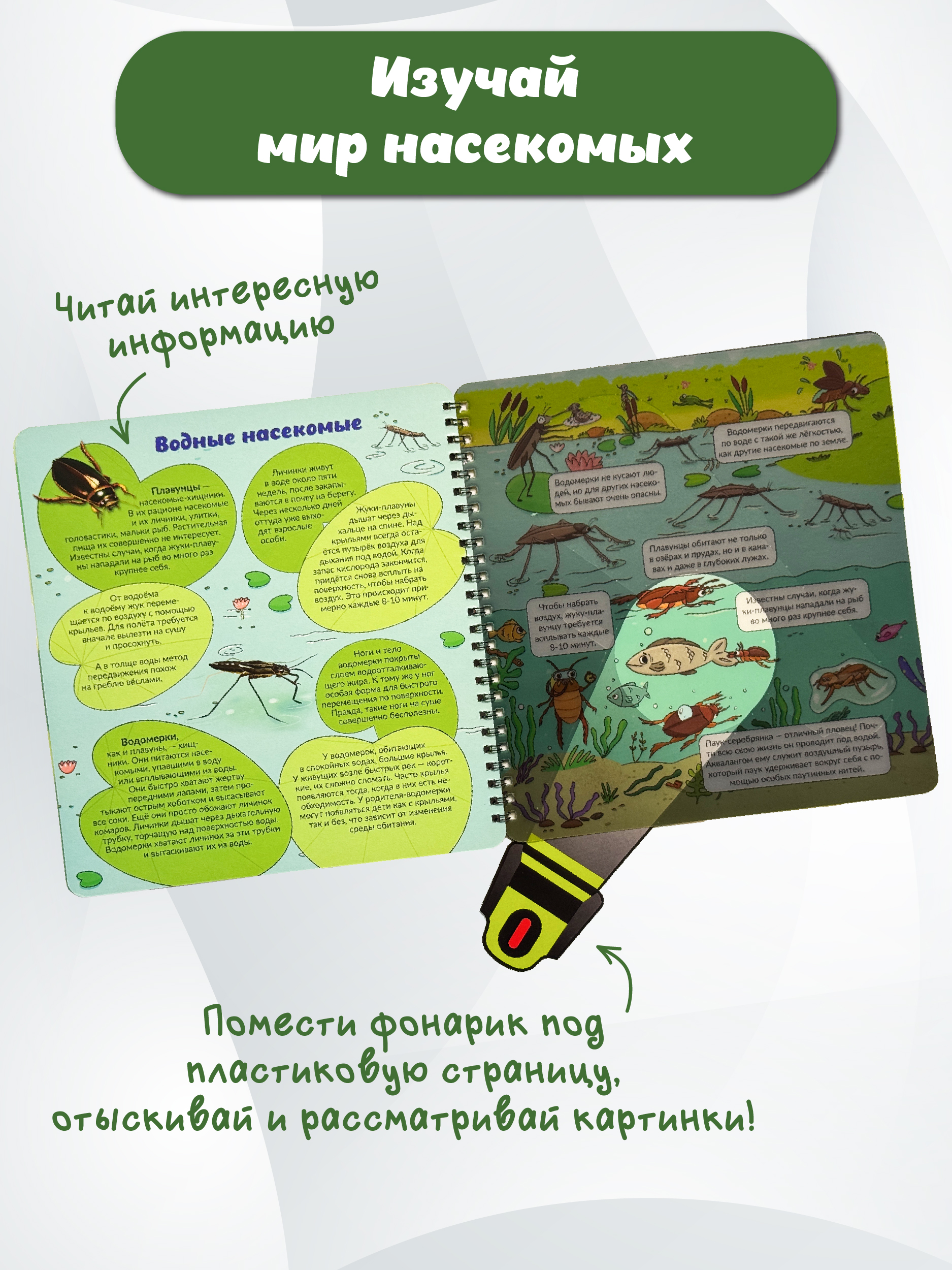 Книга с фонариком БимБиМон Мир насекомых - фото 2