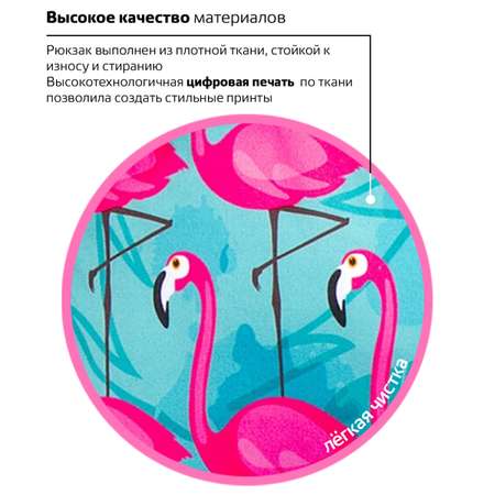 Рюкзак Brauberg Фламинго