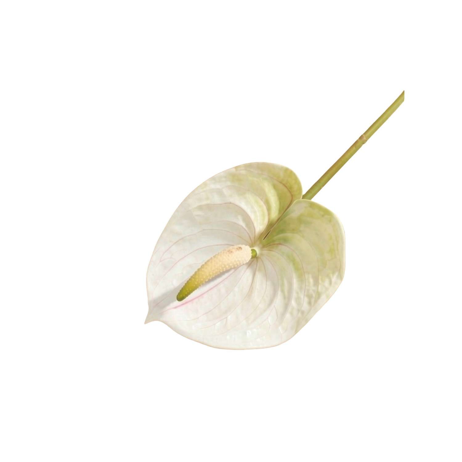 Цветы искусственные Poetry in Flowers Антуриум в ассортименте - фото 4