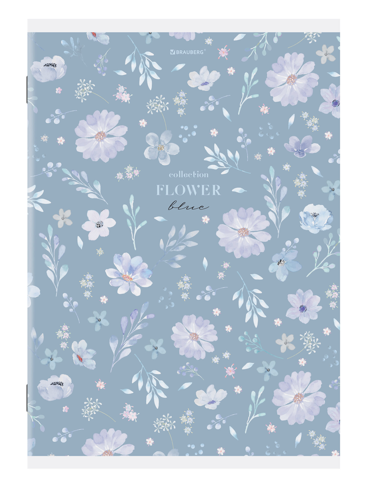 Общая тетрадь Brauberg клетка 96 лист. 3 шт. - фото 8