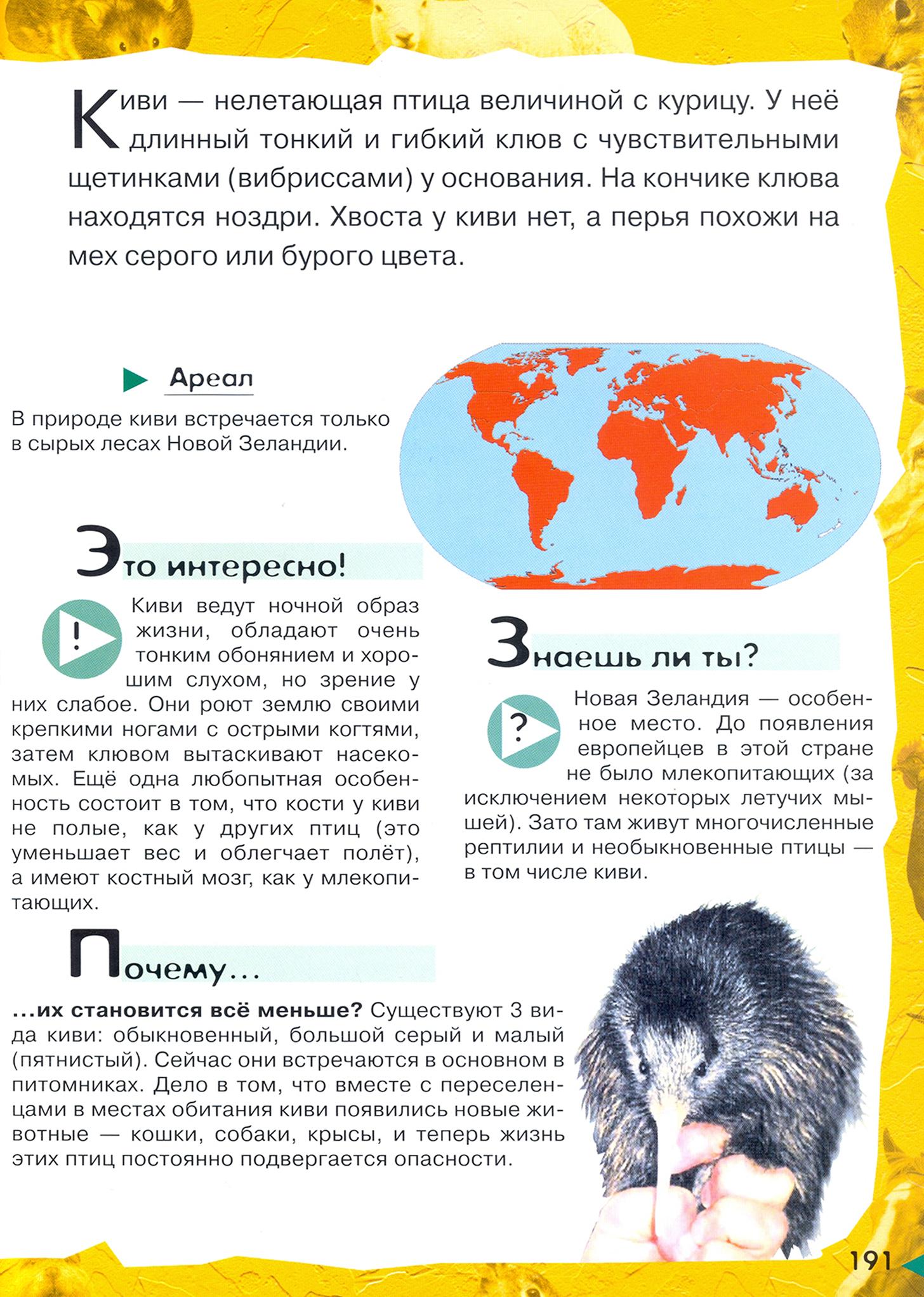 Книга Лабиринт В лесу в жарких странах рядом с нами - фото 2