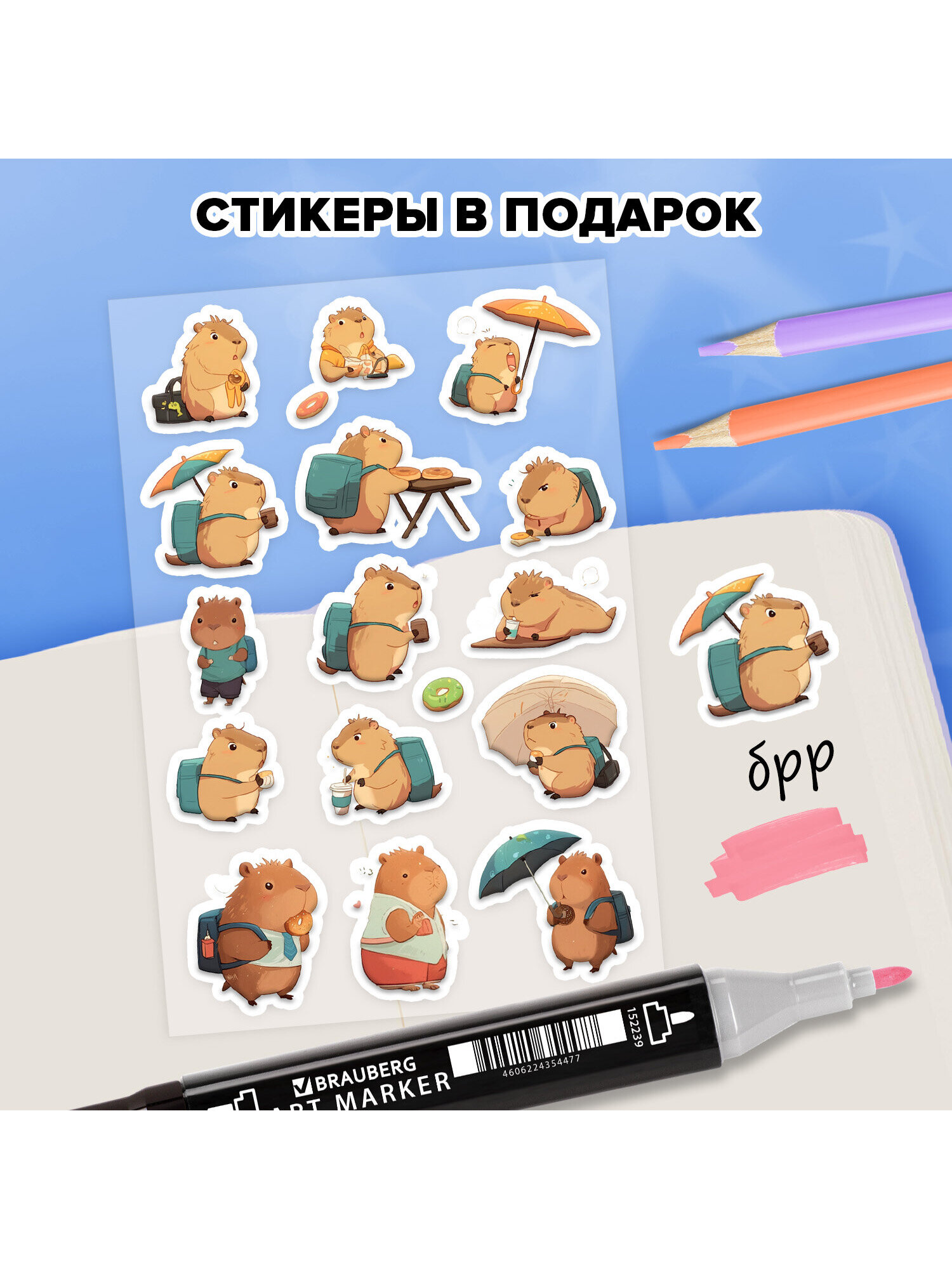 Скетчбук Funster капибары А5 80 лист. - фото 3