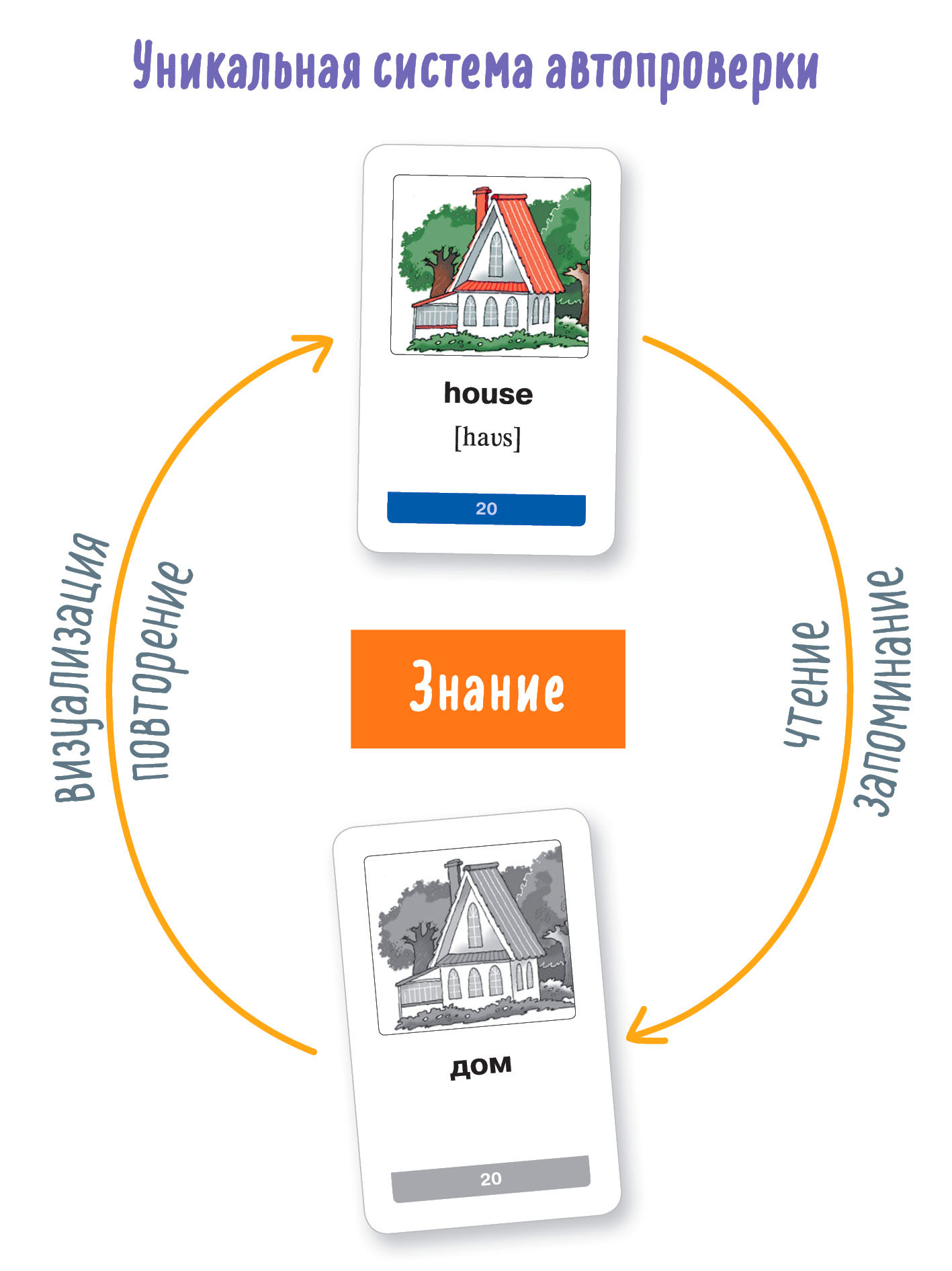 Мои первые английские слова АЙРИС-пресс 333 карточки для запоминания - фото 7