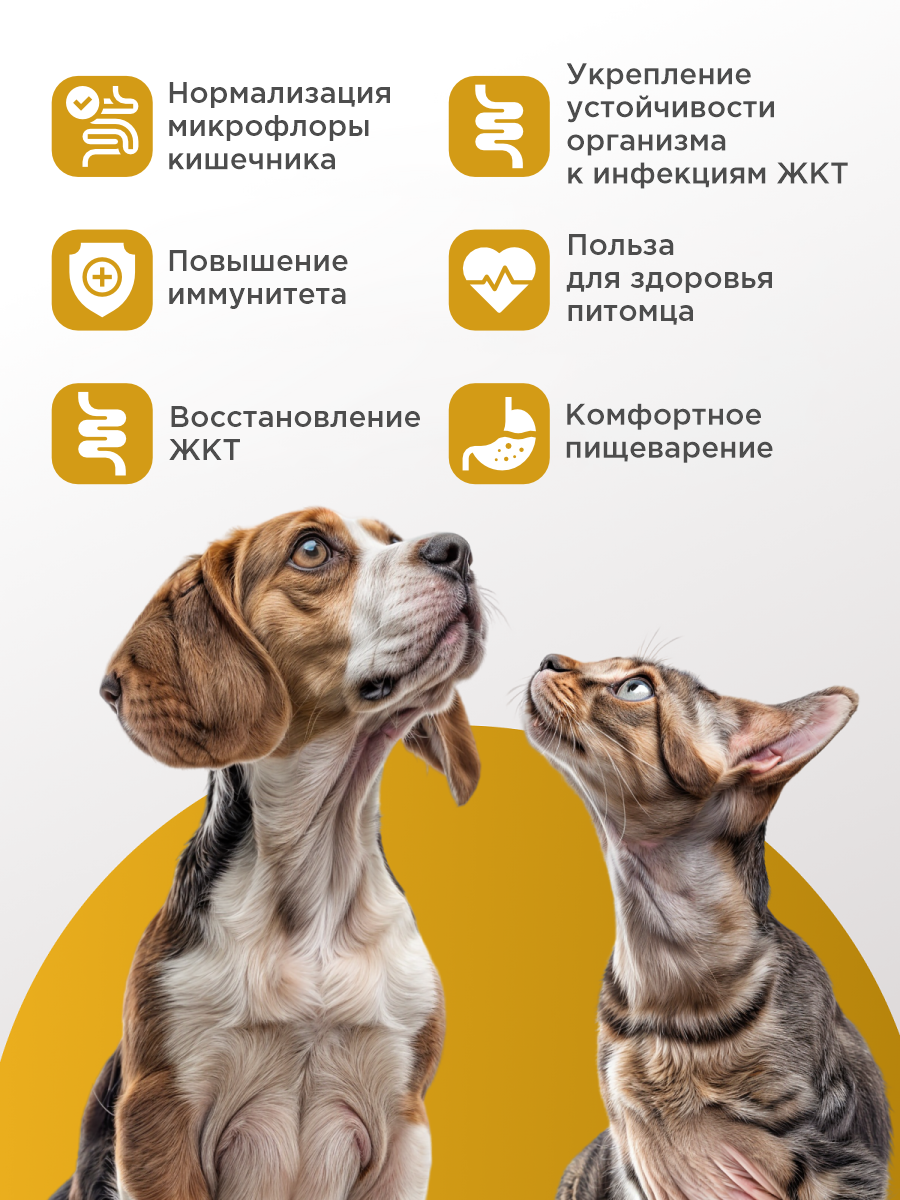 Витамины для кошек и собак GOODR HEALTH SIMBIOTIC для здоровья ЖКТ 100 таб. - фото 2