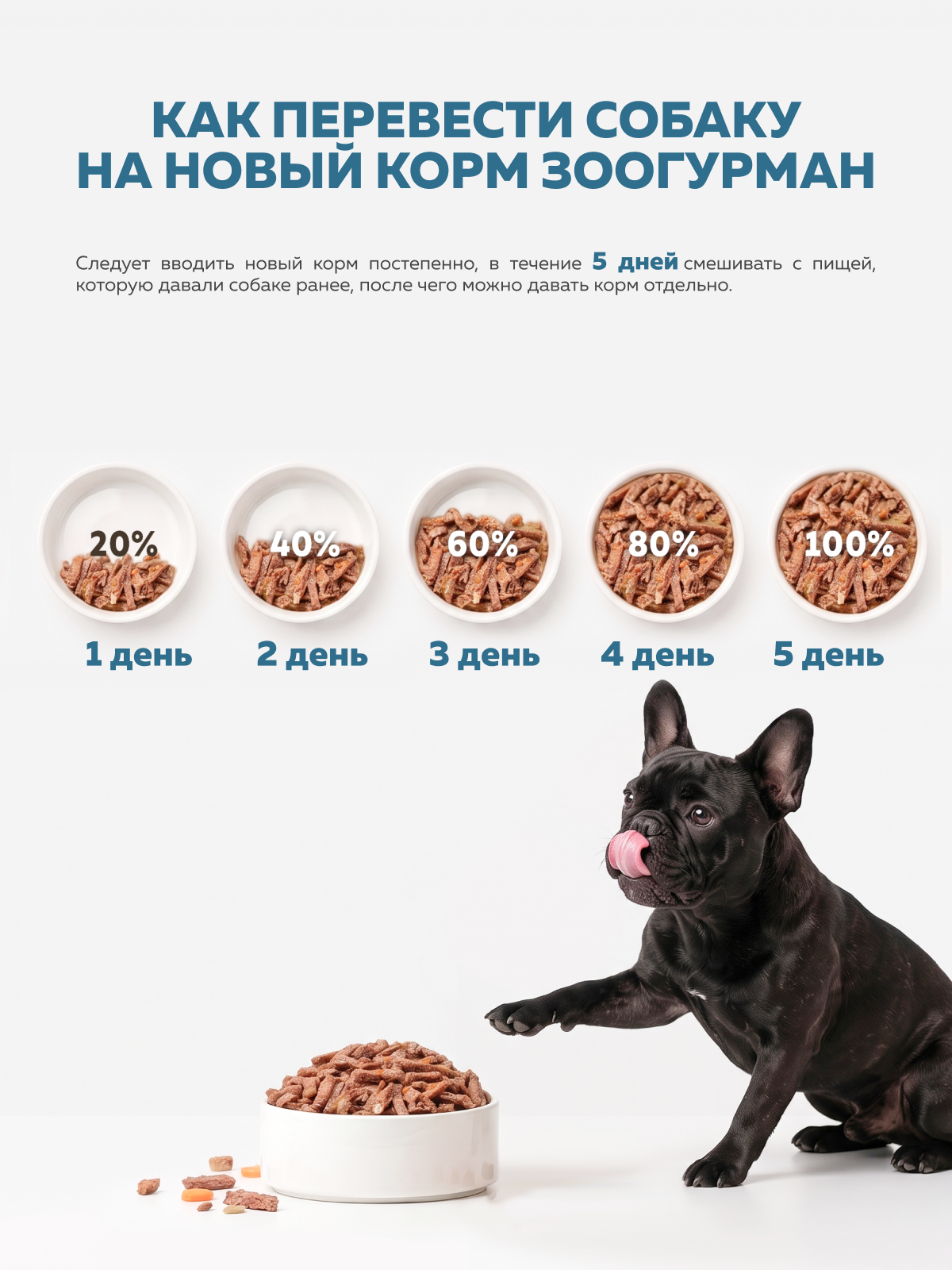 Корм влажный Зоогурман Корм влажный для собак Holistic Телятина с зелёной фасолью 100г х 6шт - фото 6