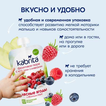 Пюре Kabrita Лесная ягода с козьими сливками с 6 мес 100 г