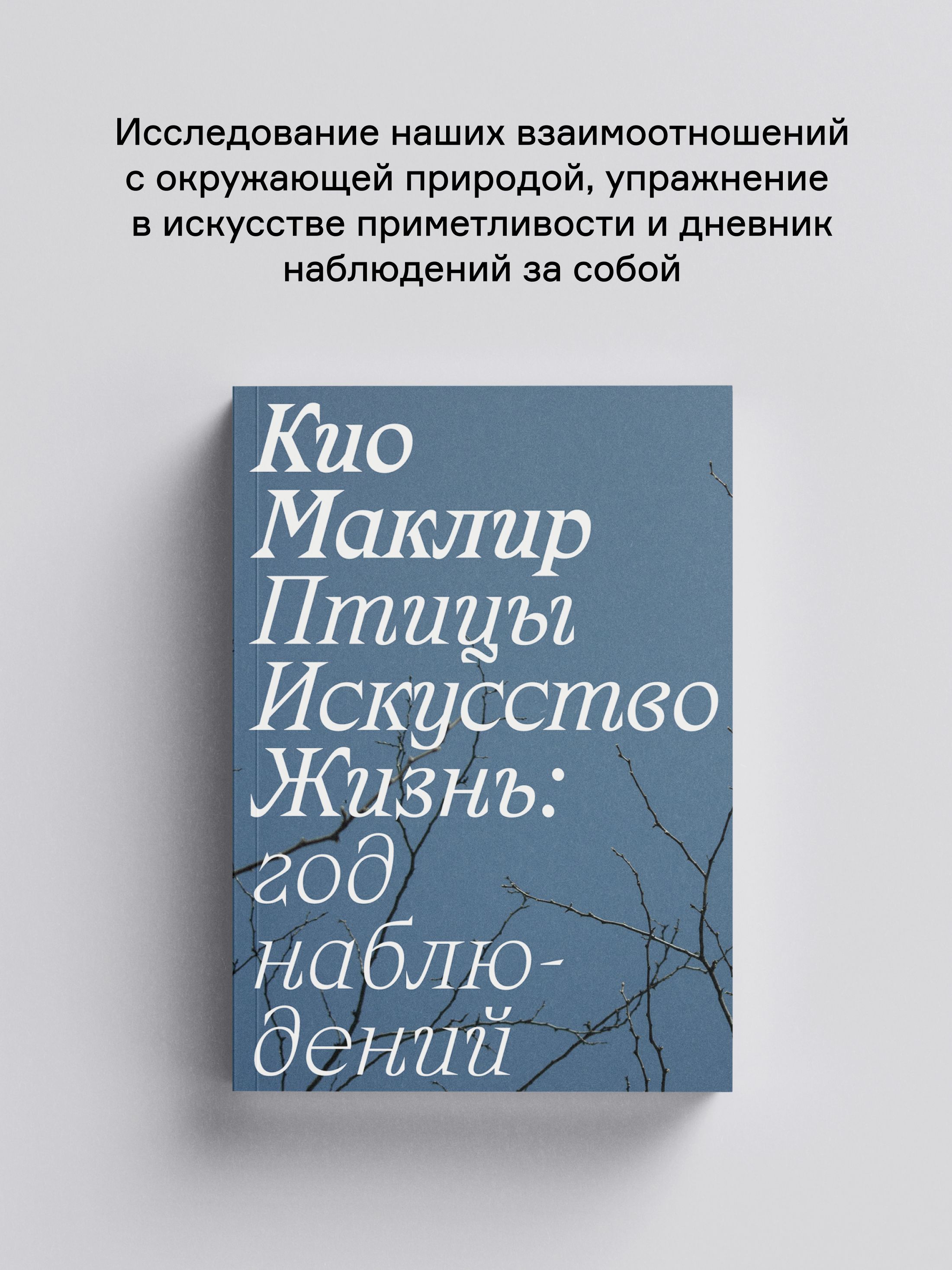 Книга Ad Marginem Птицы искусство жизнь год наблюдений - фото 1