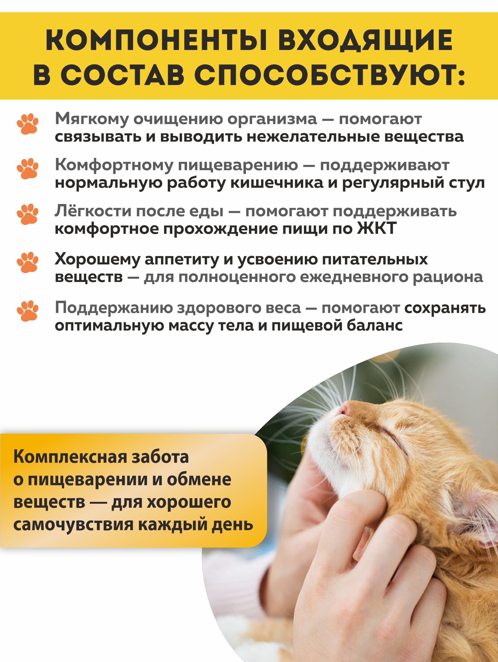 Витаминный комплекс ALTAI ANIMAL для кошек Блестящая шерсть - фото 3