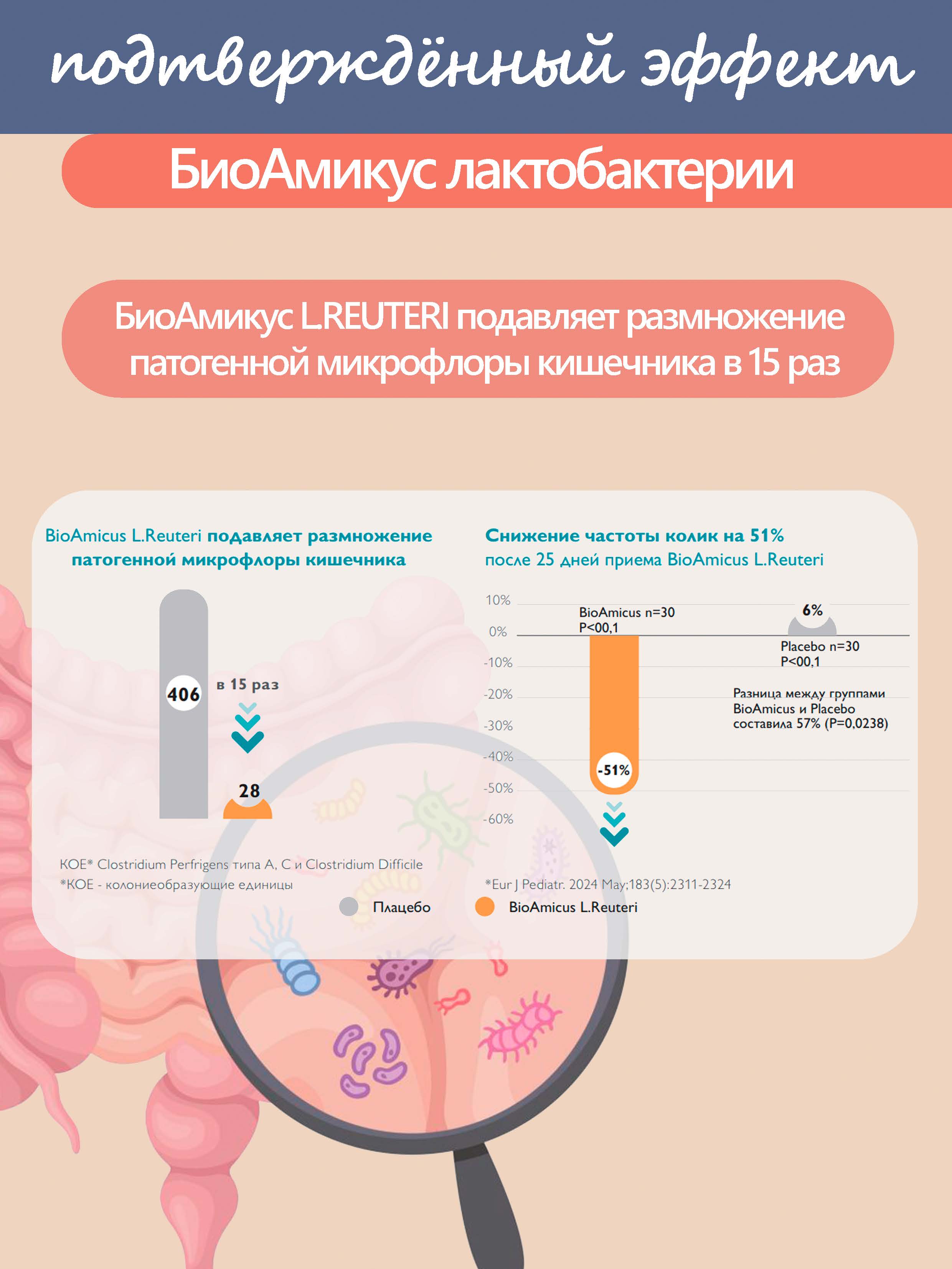 Пробиотик Лакто Реутери BioAmicus В каплях с рождения 10 мл - фото 6