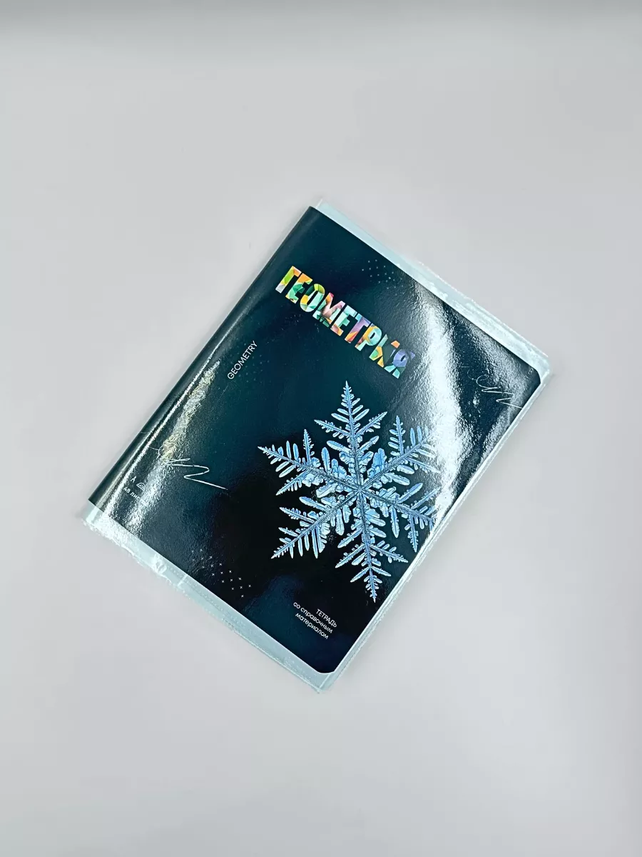 Обложка AXLER 27 x 42 см 15 шт. - фото 6