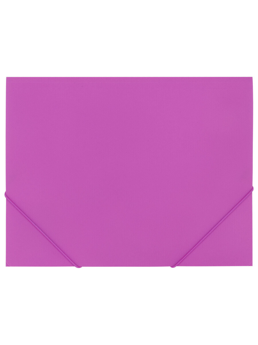 Папка для тетрадей Brauberg на резинках А4 - фото 3