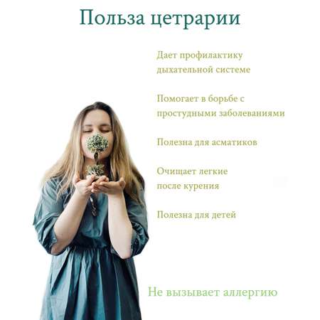 Дерево из цетрарии Cetraria 18 см