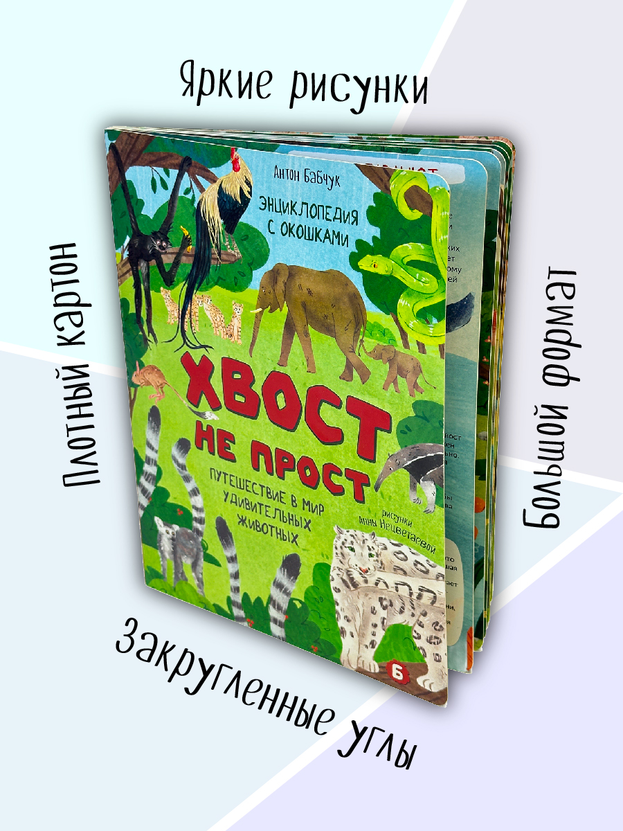 Энциклопедия с окошками БимБиМон Книга детская энциклопедия с окошками Виммельбух - фото 5