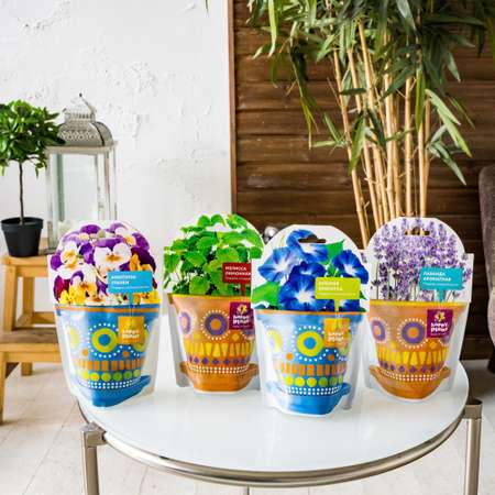 Набор для выращивания Happy Plant