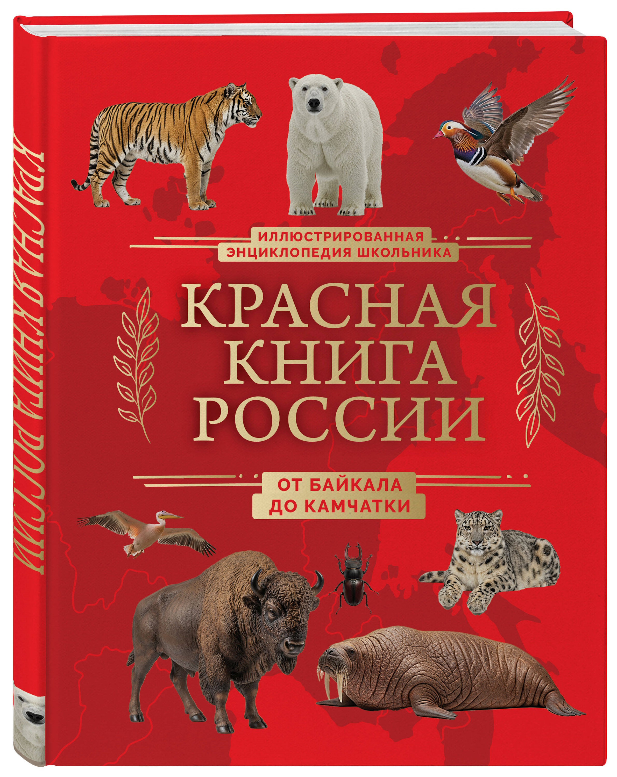 Книга Эксмо Красная книга России От Байкала - фото 1