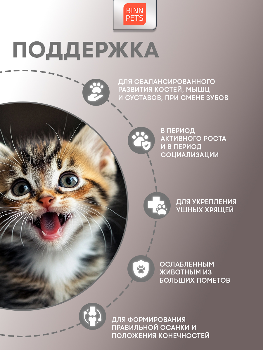 Морской коллаген PETS BIN Активный рост 70 г - фото 2