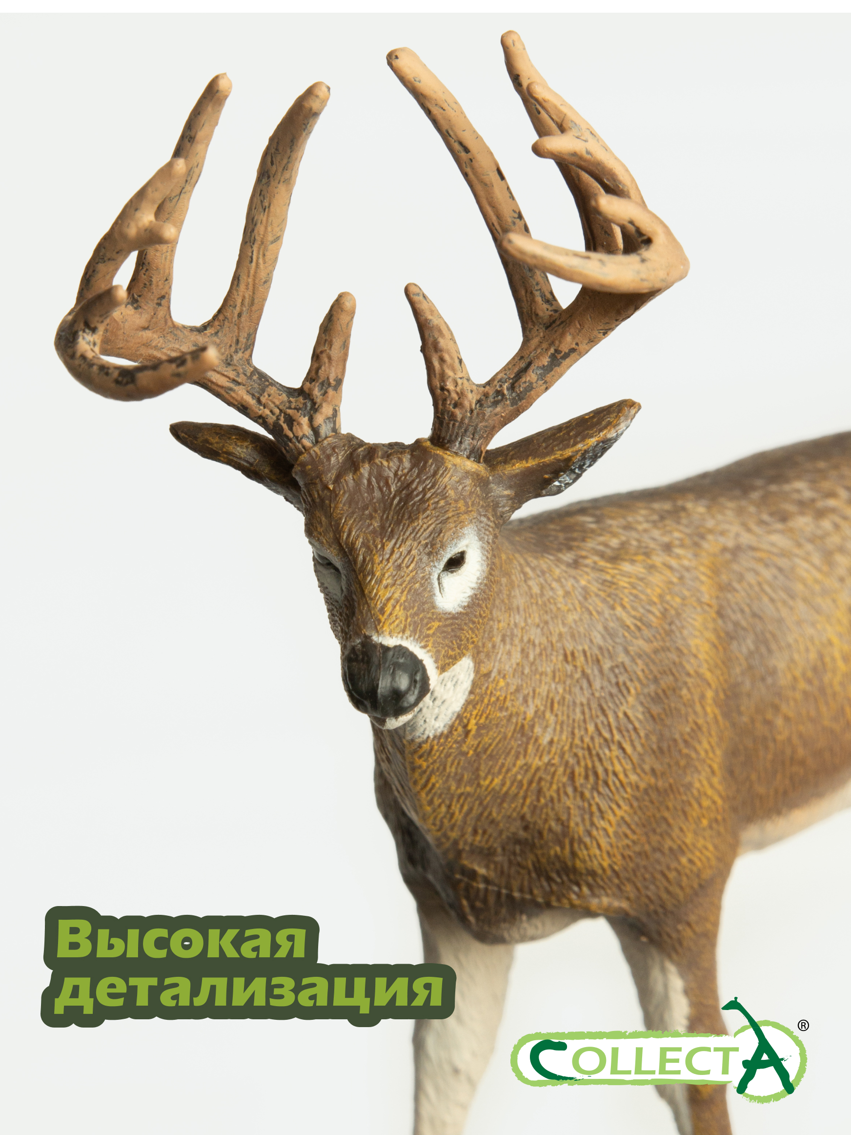 Фигурка Collecta Олень белохвостый - фото 3