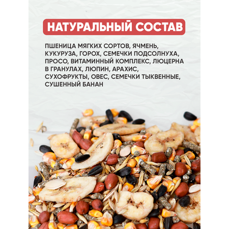 Натуральный сухой корм GRANOFEED для крыс и грызунов 400 г