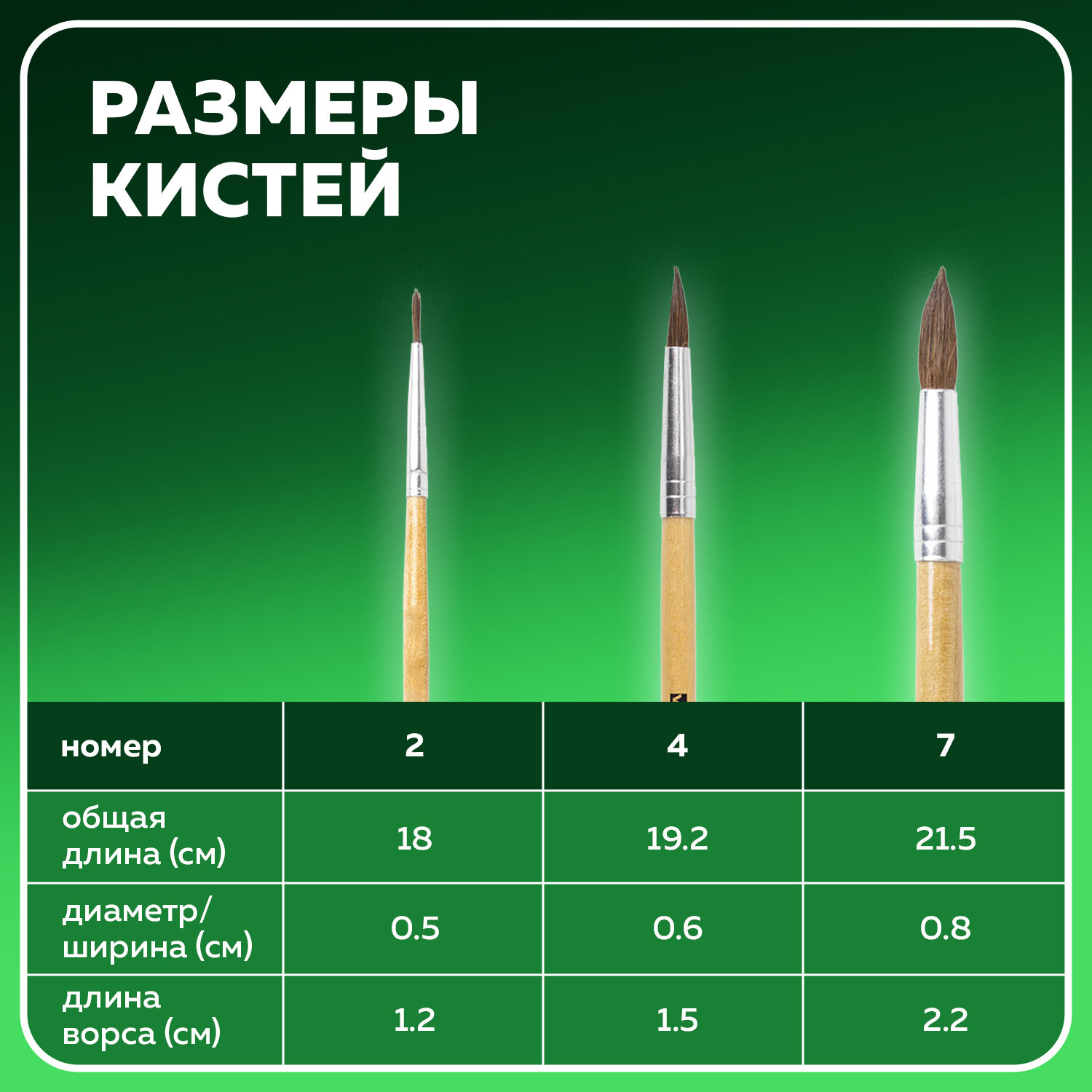 Кисть Brauberg 3 шт. (пони) - фото 3