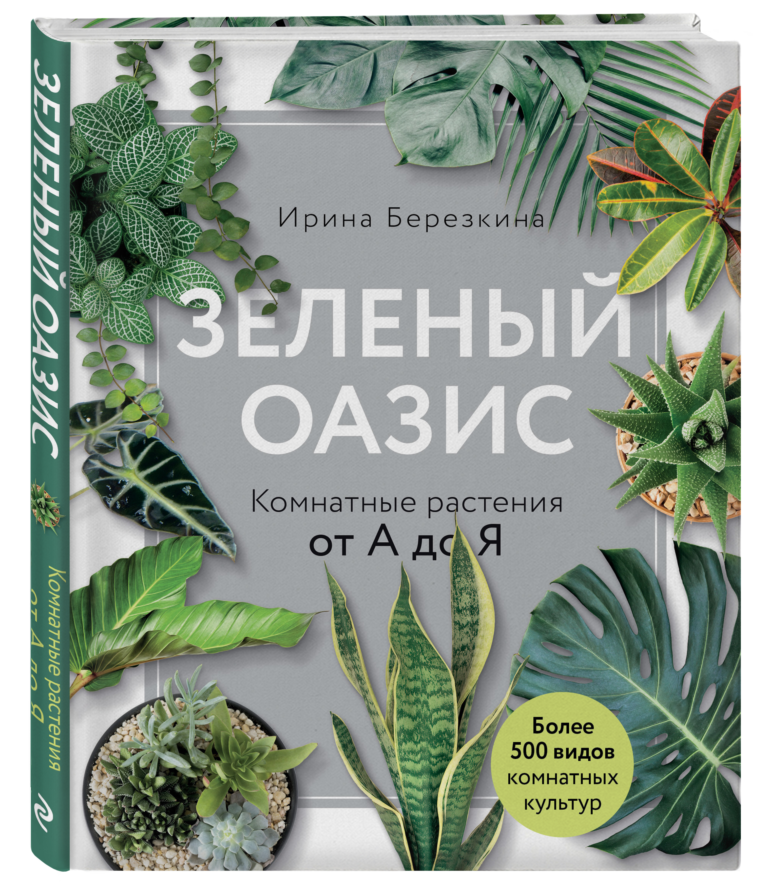 Книга ЭКСМО-ПРЕСС Зеленый оазис Комнатные растения от А до Я - фото 1