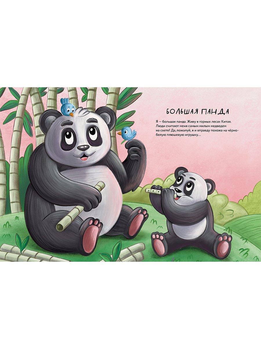 Книга Альпина. Дети Косолапые медведи - фото 4