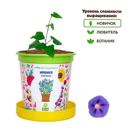 Набор для выращивания Happy Plant