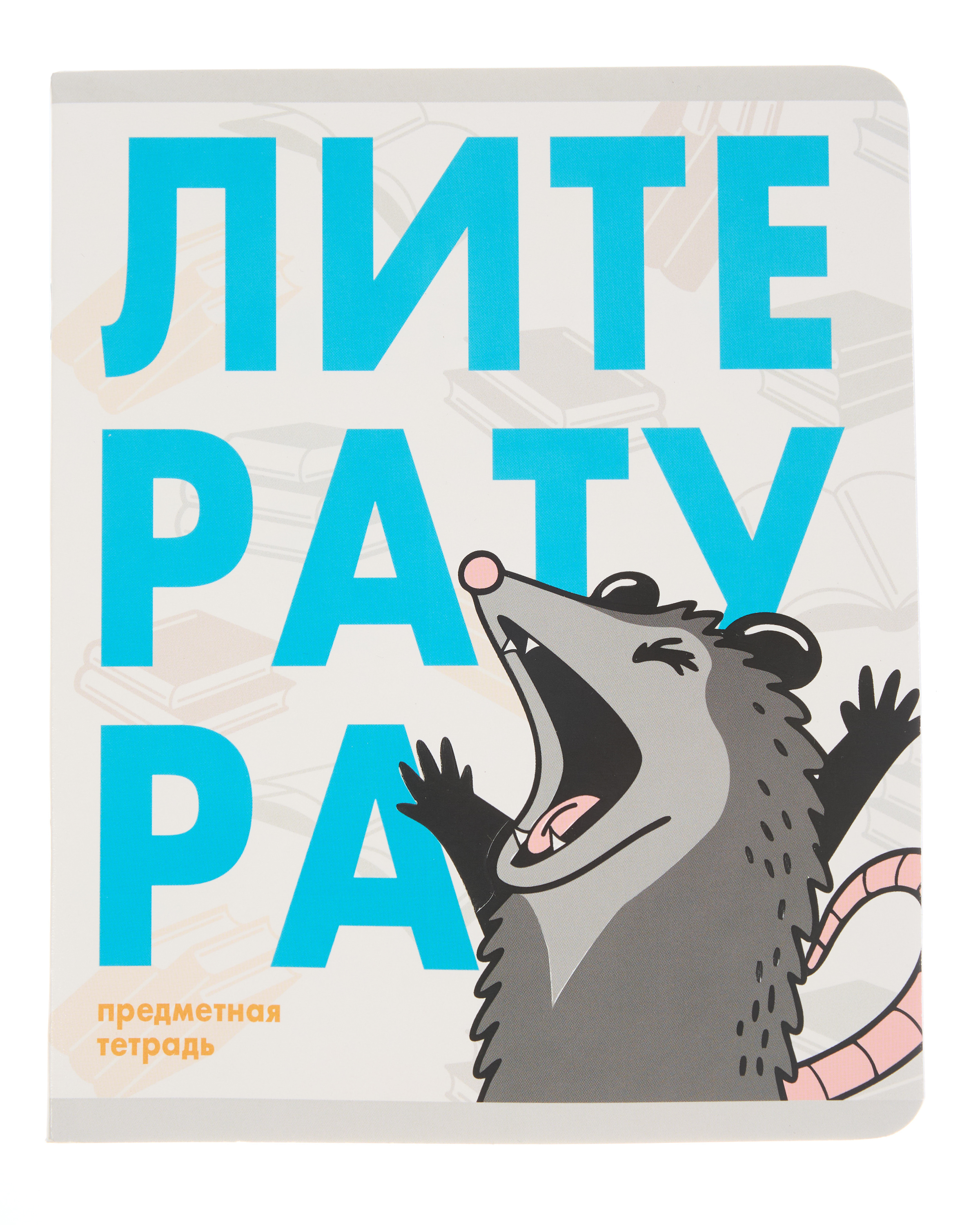 Тетрадь Erhaft 48 лист. (Литература) - фото 1