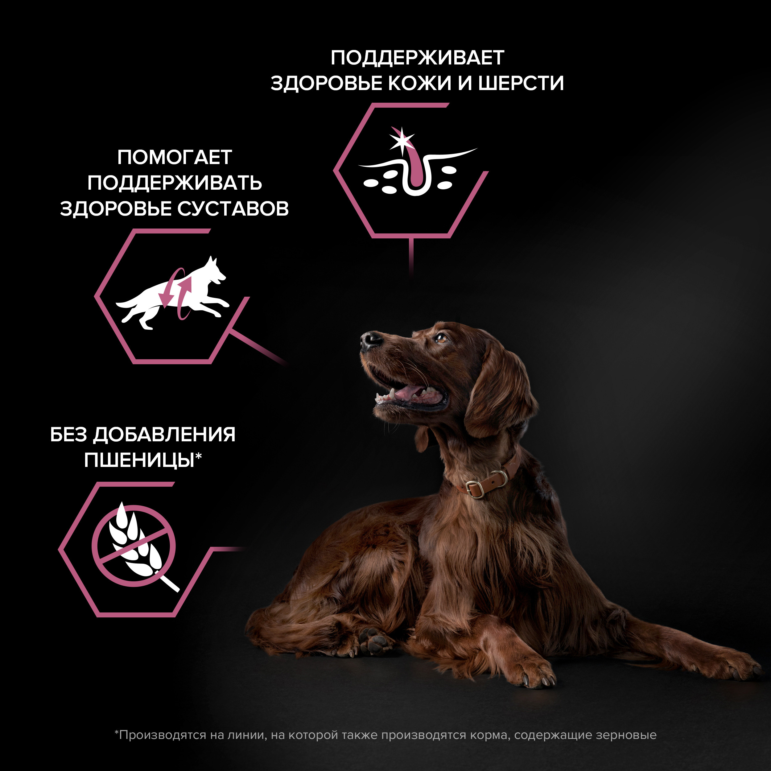 Корм для собак PRO PLAN крупных пород с атлетическим телосложением с чувствительной кожей с комплексом Optiderma лосось с рисом 14кг - фото 4