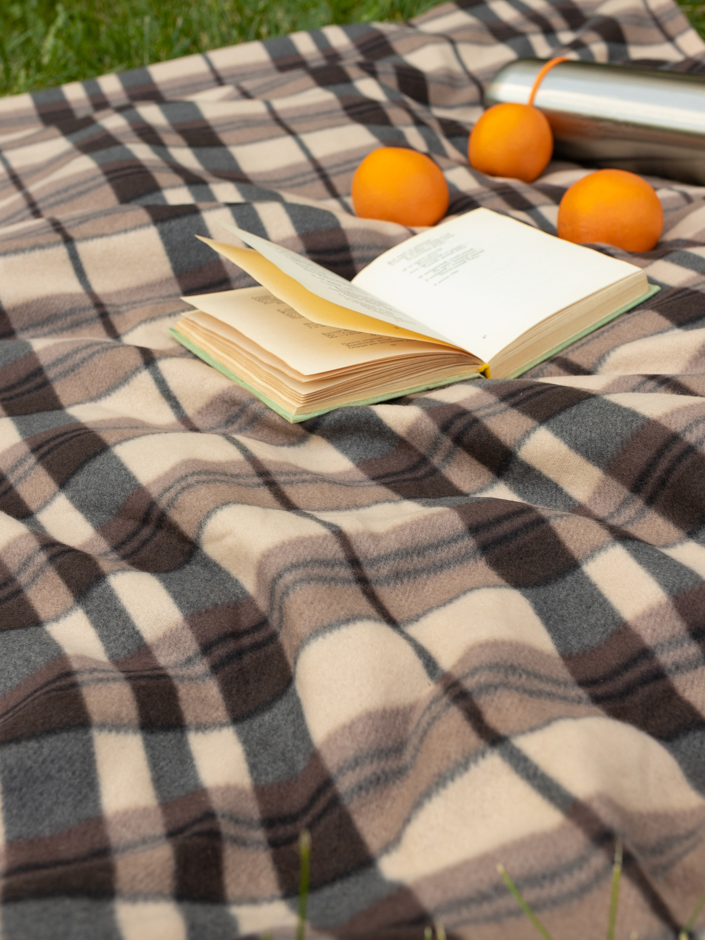 Плед Wellness WPT135-Парма_76 130 x 150 см флис - фото 1