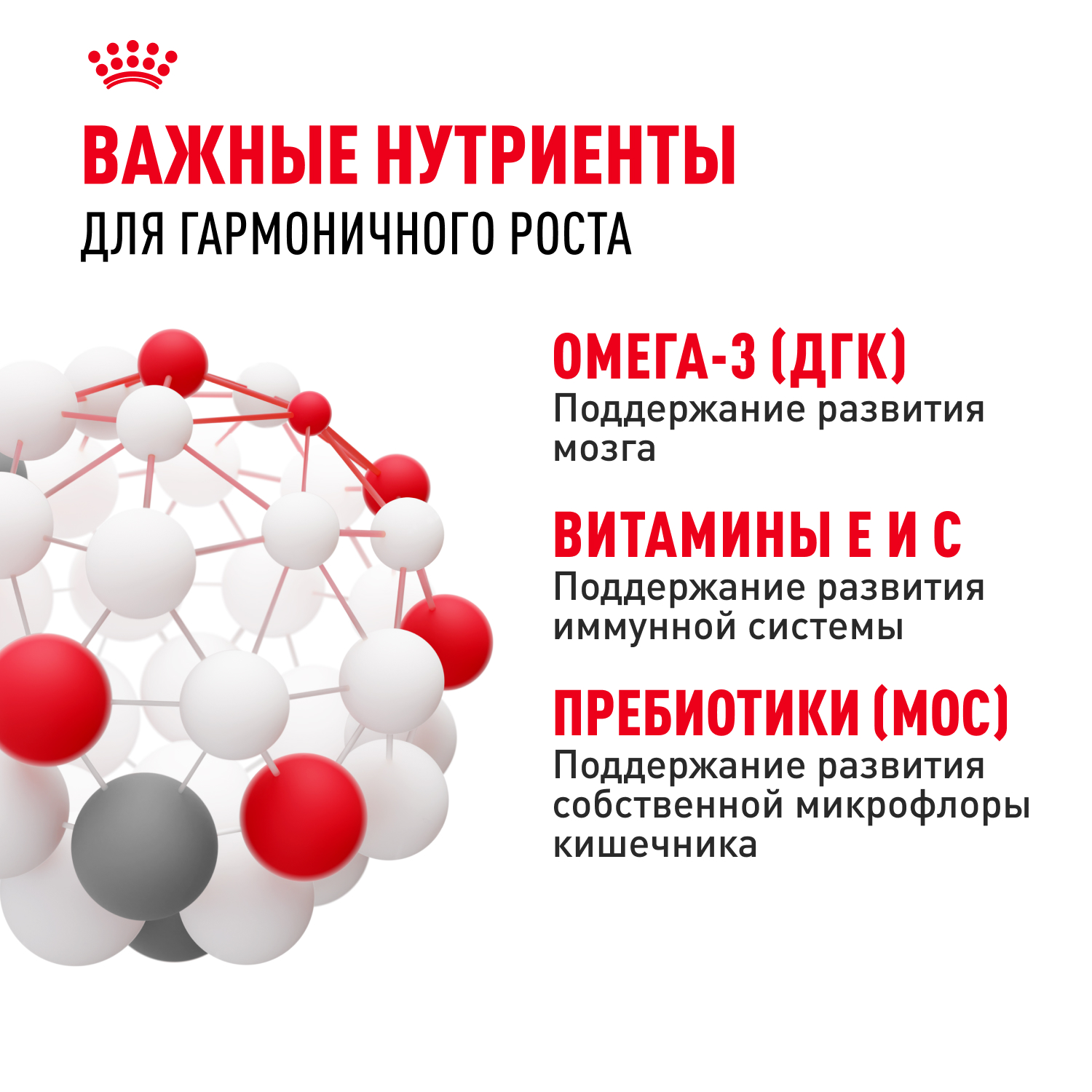 Корм для щенков влажный ROYAL CANIN Maxi Puppy для крупных пород в возрасте до 15 месяцев соус 100г - фото 5