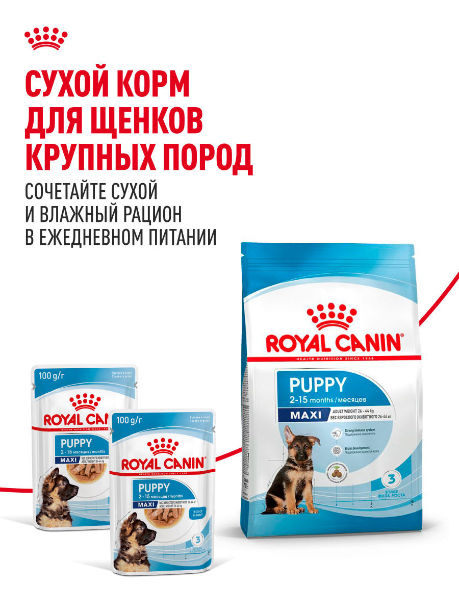 Корм для щенков влажный ROYAL CANIN Maxi Puppy для крупных пород в возрасте до 15 месяцев соус 100г - фото 8