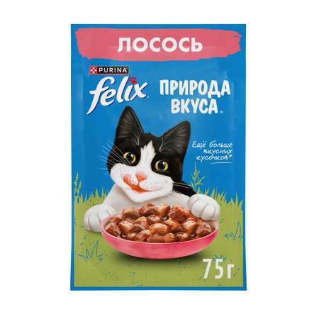Корм для кошек Felix 75г для взрослых с лососем в соусе
