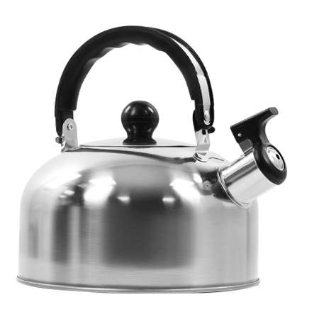 Чайник со свистком HOME ELEMENT сталь