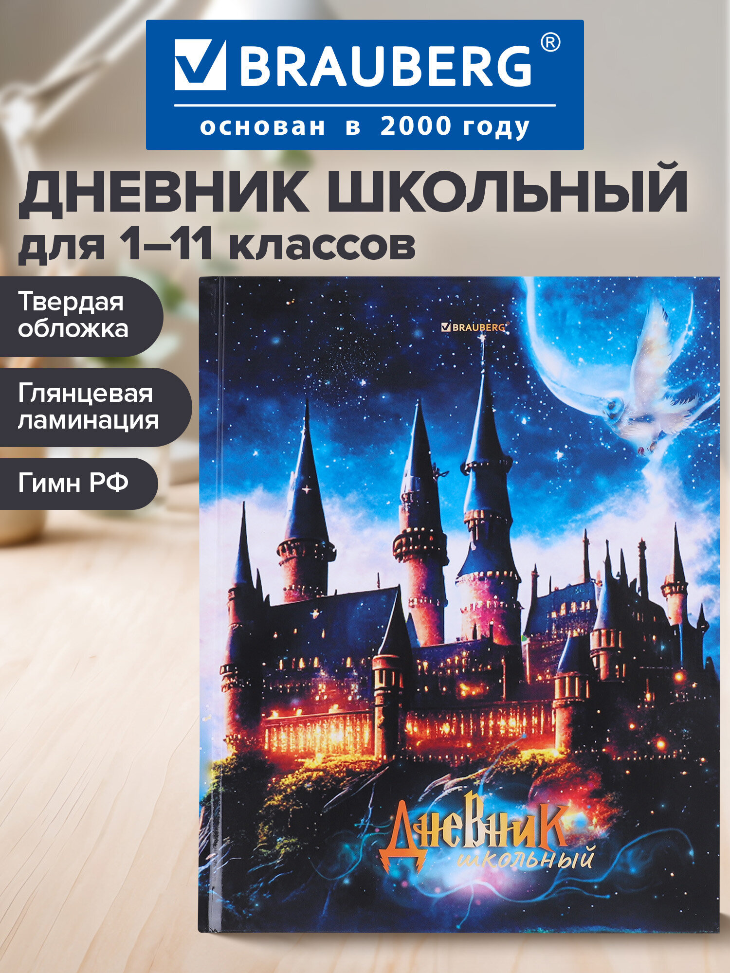 Дневник школьный Brauberg 1-11 класс замок канцелярия - фото 1