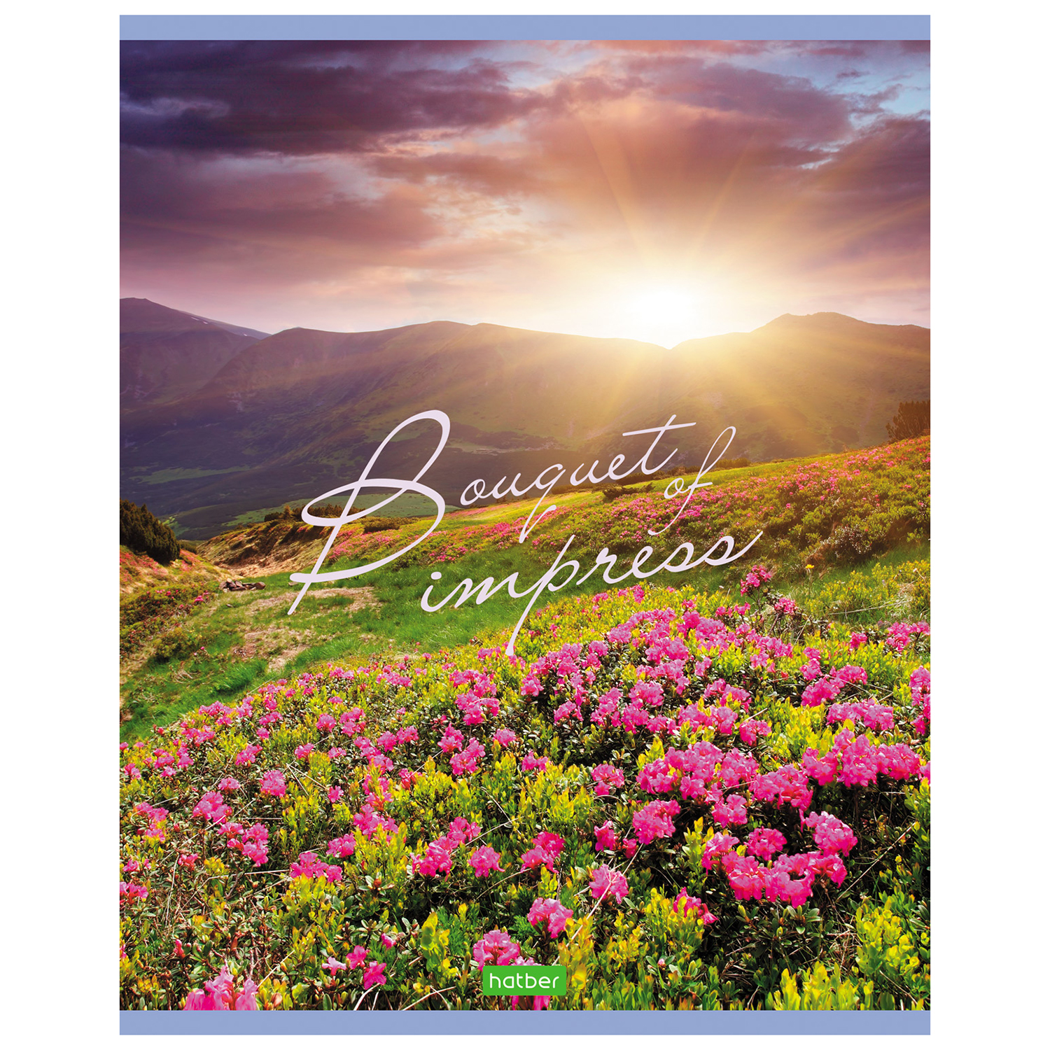 Общая тетрадь Hatber клетка 48 лист. в ассортименте - фото 2