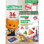 Карандаши цветные Brauberg 36 шт.