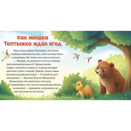 Книга Clever Издательство Любознательный малыш. Лесные малыши