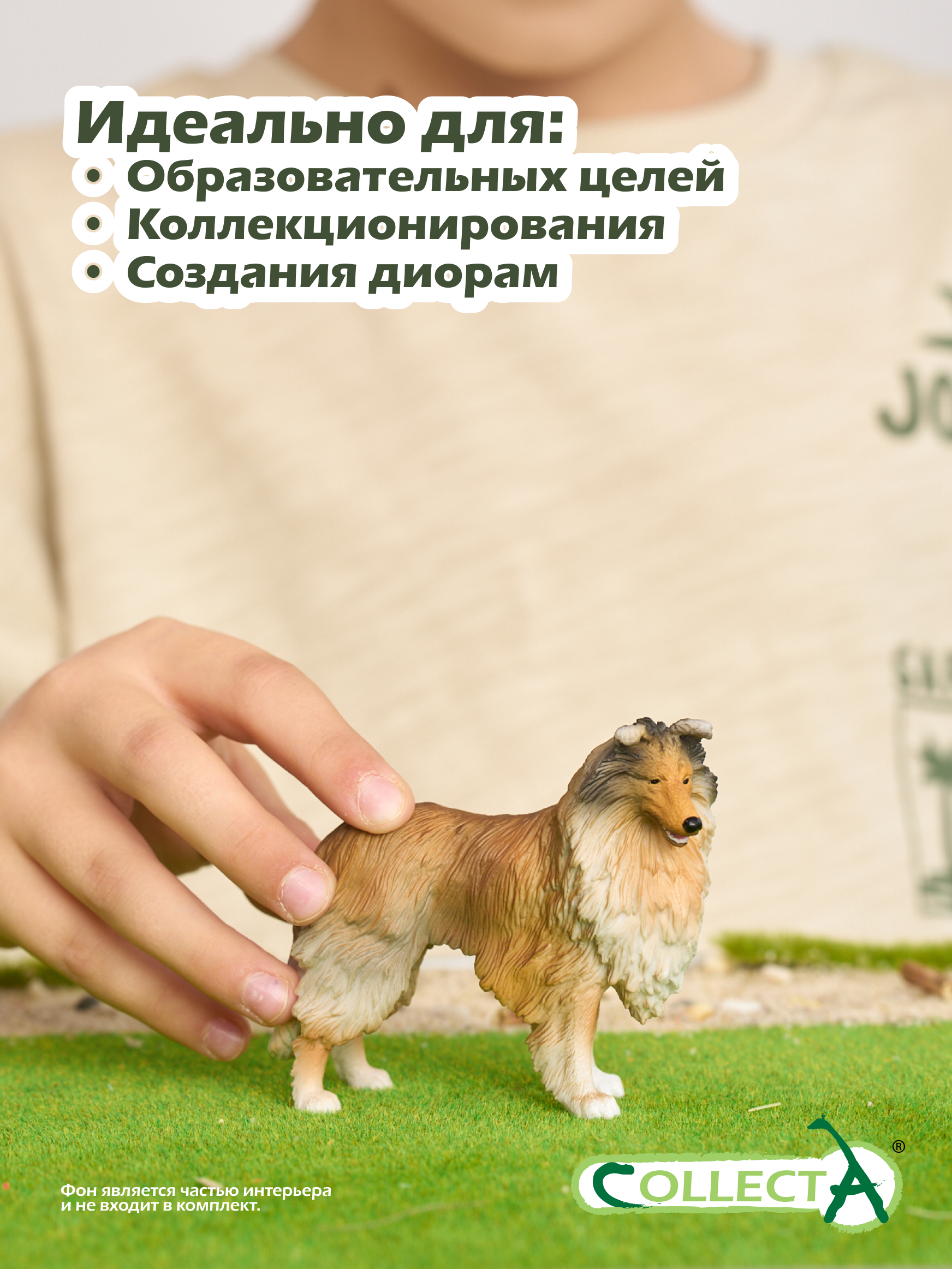 Фигурка Collecta Собака Колли - фото 7