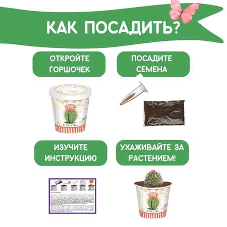 Набор для выращивания Rostok Visa