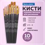 Кисть Brauberg 10 шт. (синтетика)