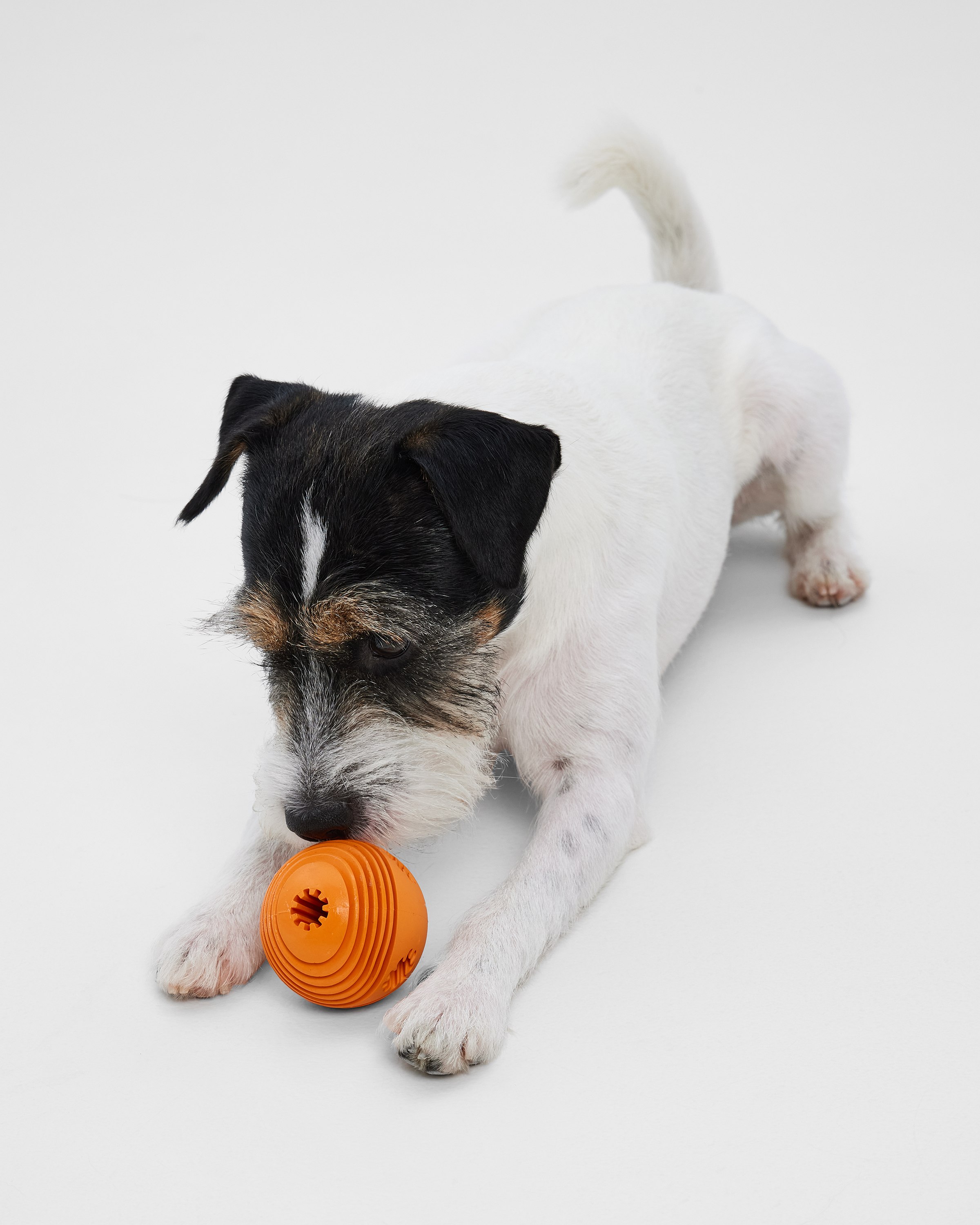 Игрушка для собак Barbaks Мяч-погрызайка оранжевый внутрь можно класть лакомства диаметр 6.3см резина - фото 1